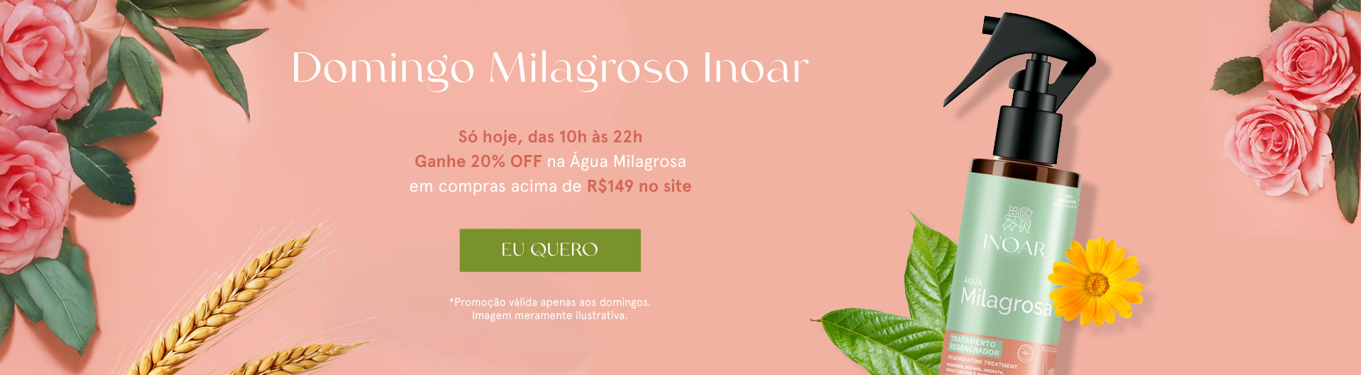 Domingo Milagroso